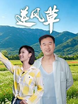 逆风草